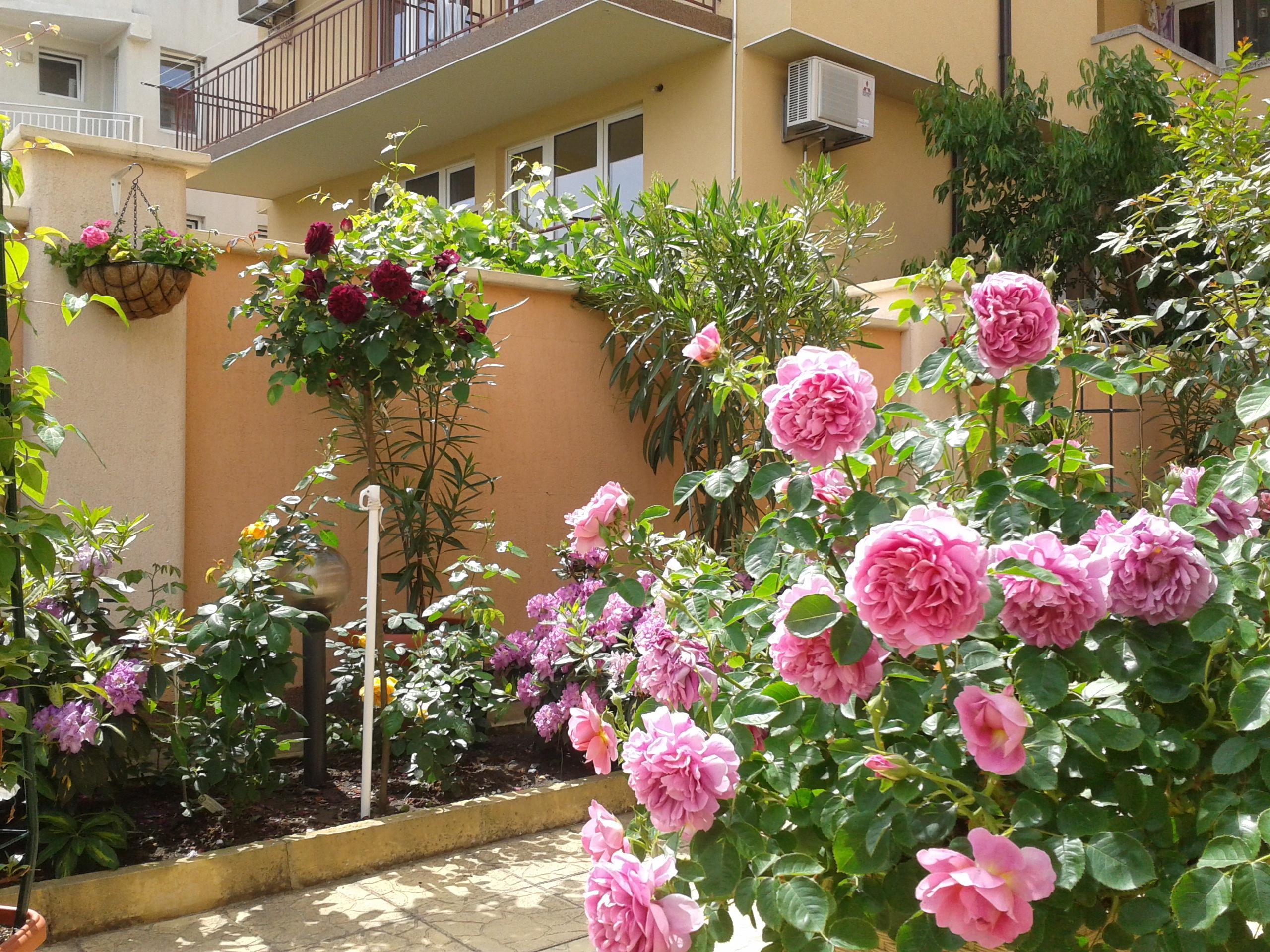 Hotel Chuchulev Sozopol Esterno foto