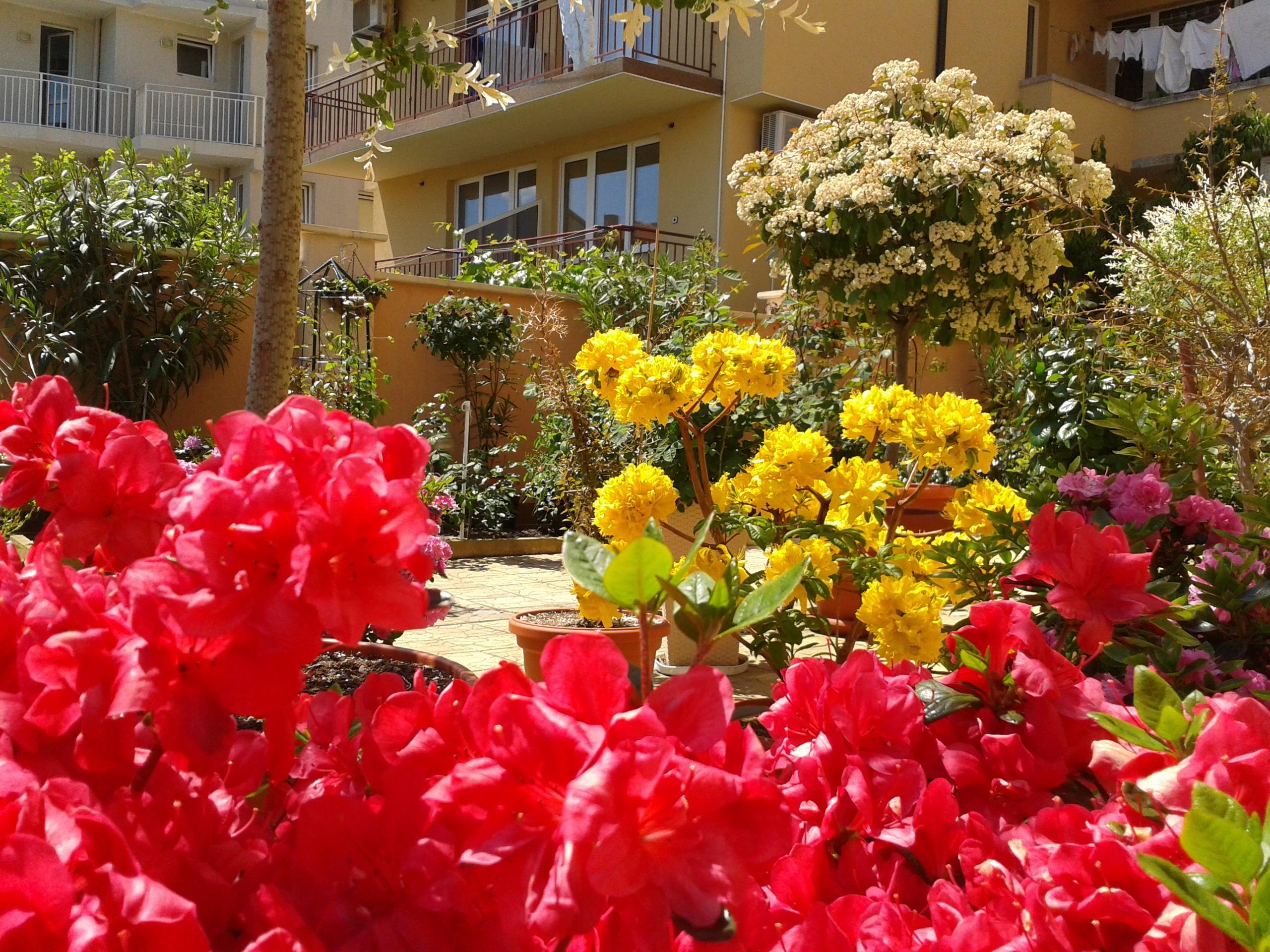 Hotel Chuchulev Sozopol Esterno foto