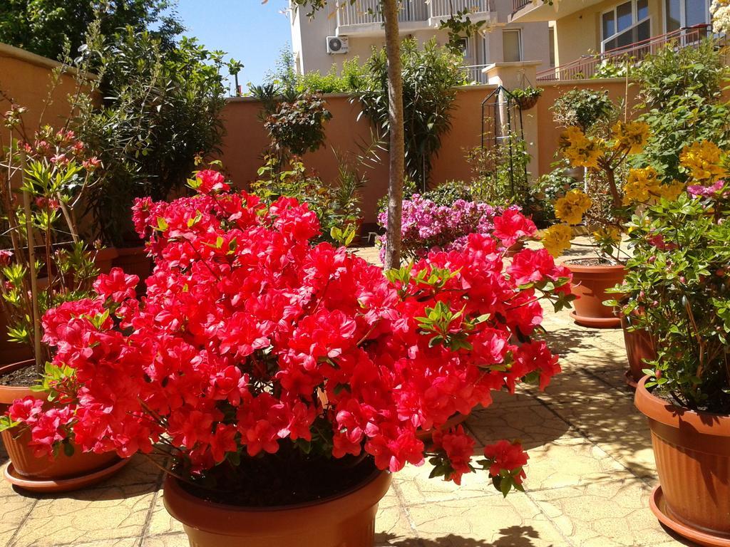 Hotel Chuchulev Sozopol Esterno foto